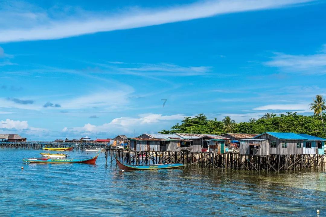大象起舞，A股疯涨！回顾去年的救市失败，这次能兜住底吗？